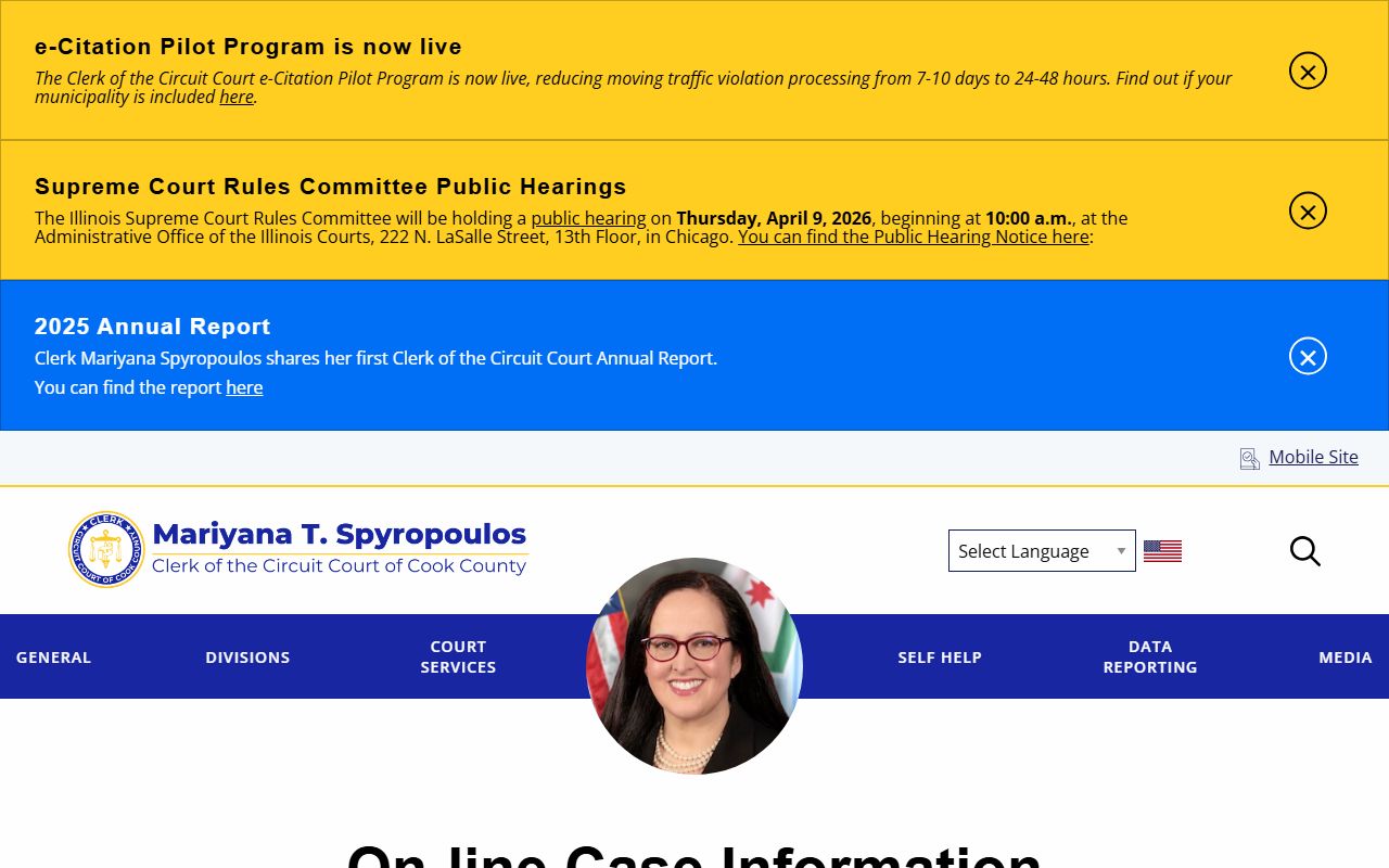 Cook County online case information portal
