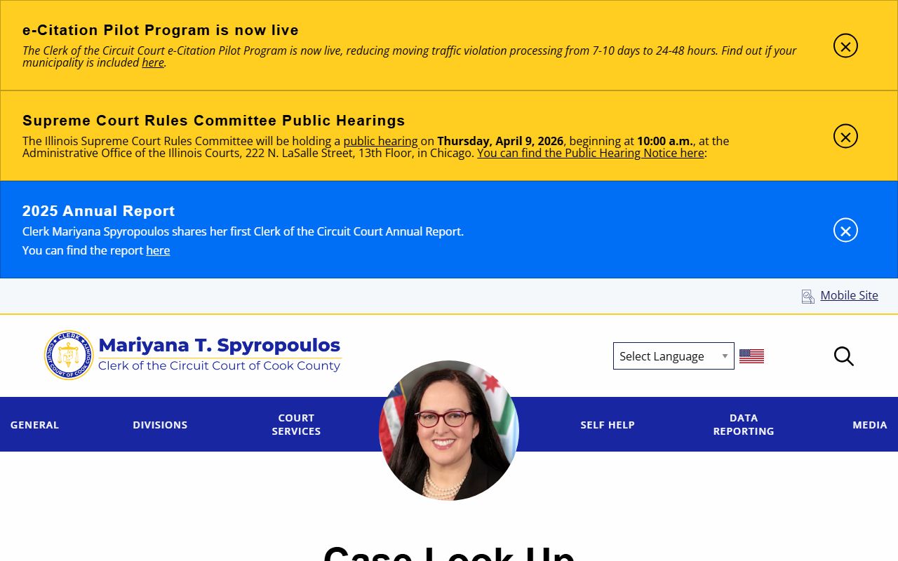 Cook County case lookup search tool
